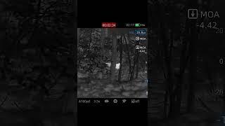 InfiRay Outdoor RH50R #feralhogs #hunting #boarhunting #invasivespecies