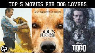 TOP 5 MOVIES FOR DOG LOVERS || Every Dog Lover must watch ||