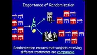 Why Randomization Is Important