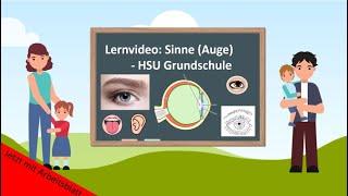 Lernvideo: Sinne - Auge ️ - HSU Grundschule