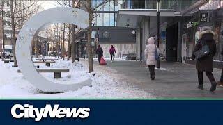 Montreal's Concordia University sees 'concerning' drop in applications