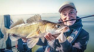 Zander vertikal! Mit diesen 10 Tipps kommst du zum Fisch!