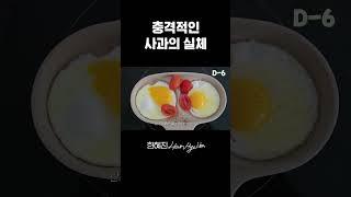 언제부터 사과가 탄수화물이었어요...? #한혜진 #다이어트 #식단 #shorts
