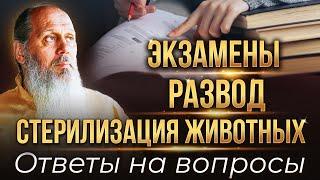 О. Владимир Головин. Ответы на вопросы. 15 апреля, 2025 год.