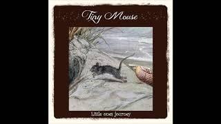 Tiny Mouse - Little Ones Journey (2019) (Comfy Synth, Ambient)