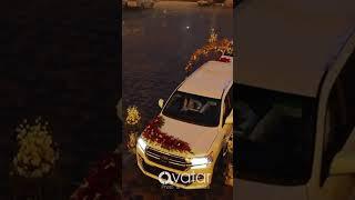 New Afghan Wedding | 2023 Wedding Car | Afghan Bride and Groom