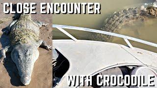 Close Encounter with Saltwater Crocodile, Ord River Western Australia