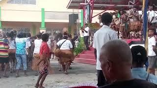 Festival budaya sejuta rawa mappi 2022/2023