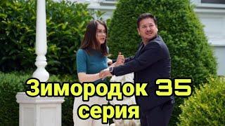 Зимородок - 35 серия: не может быть!