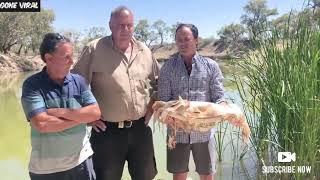 Australian MP vomits while holding giant dead fish