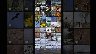 View Photo Exif Metadata using App Extension on iPhone or iPad