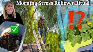 Fixing Kitchen Scraps for FREE Compost Growing Soil, Plant Goof?, Container Gardening for Beginners