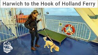 Travelling with your Dog on the Harwich to Hook of Holland Ferry - Pet Cabin Experience
