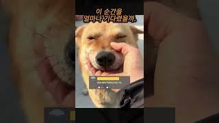 그저… 돌아 와줘서 고마워