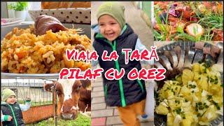 DOUĂ ANOTIMPURI ÎNTR-O ZICEL MAI  GUSTOS PILAF cu OREZ!VLOG VIAȚA LA SAT