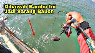 GILAK.. ‼️Nemu Spot Tersembunyi Yang Dihuni Ikan Babon-babon, Pulang Langsung Masak Besar