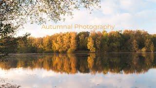 Autumnal Woodland Photography | Fujifilm X-T5