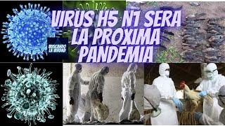 VIRUS H5 N1 SERA LA PROXIMA PANDEMIA