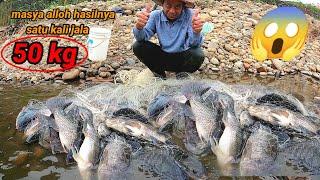 MASYA ALLOH.. || hasilnya Ribuan ikan nila babon || jala sampai bergetar kuat banget