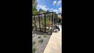 Outdoor Enclosure For A Kotamonde! #shorts #animals #exotic