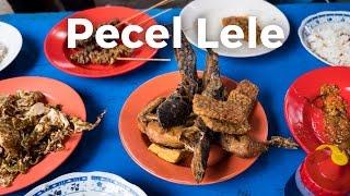 Fried Crispy Catfish (Pecel Lele) at Permata Mubarok 1 | Indonesian Street Food in Jakarta