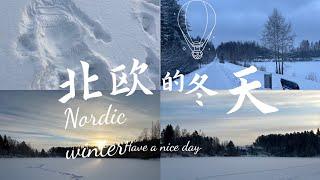 北欧的冬天The winters in the Nordics are long, dark, and cold, aren't they?