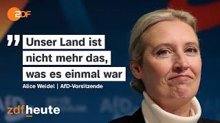 Die AfD und ihre Außenpolitik | Berlin direkt