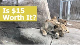 Is Denver Zoo Worth It?