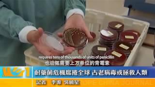 China’s Phoenix TV on UK excellence in AMR research