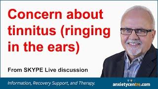 Concerns About Tinnitus (ringing in the ears) and anxiety - SKYPE Discussion from November 5, 2020.