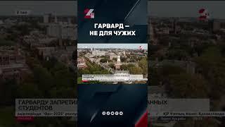 Казахстанцев отчисляют из Гарварда #24kz #новости #казахстан
