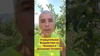 Отрицательное Действие на Человека в Доме! #естественный #тагир