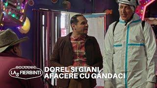 Dorel și Giani, afacere cu gândaci | Las Fierbinți | Sezonul 24