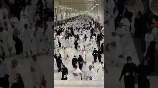 safa marwa #safamarwah #umrah #hajj2022 #hasbirabbi #mecca #makkah #foryou #fyp #trending #viral