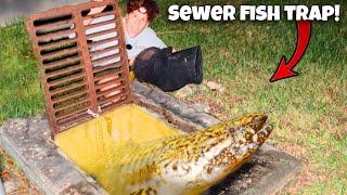 I Found ALIEN FISH In The SEWER!