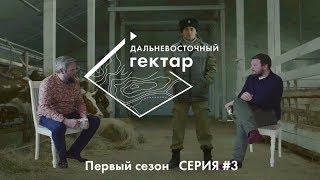 Дальневосточный гектар | 3 серия | Где живет еврей-казак?