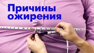 Фастфуд. Основная причина ожирения