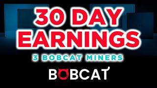 X3 Bobcat Miners - 30 Day Earnings, 3 Locations | Helium Mining ($HNT)