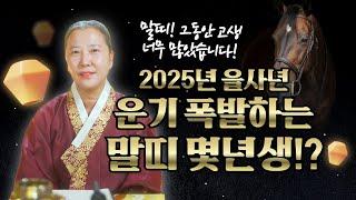 2025년 을사년 말띠운세 "그동안 너무 고생많았던 말띠 2025년 운기가 폭발하는 말띠는 몇년생!?" [양주용한점집]