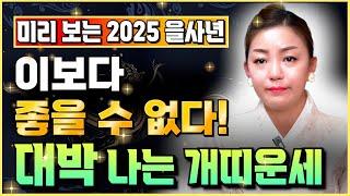 【 2025년 을사년 개띠운세 】 천운이 열려 금전운 문서운 사업운 벼락부자되는 2025년 개띠운세! 개띠에게 앞으로 생기는 변화들, 58년생 70년생 82년생 94년생 개띠 운세