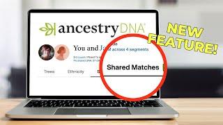 AncestryDNA’s New Match Feature Is a Game Changer!