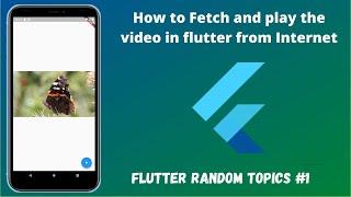 How to Fetch and play the video in flutter from Internet  || Video Player|| Play & Pause Video