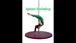 Iguana Workshop - Pole Dance