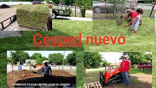 CESPED NUEVO PARA NUESTRA HOGAR