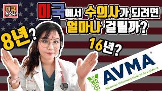 미국에서 수의사가 되려면 얼마나 걸릴까?