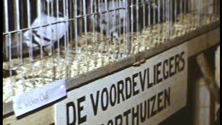 Plaatselijk Belang Voorthuizen Verenigingen Beurs 1972