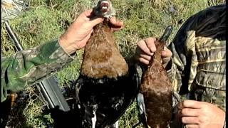 Preview of a Duck Hunt in Mexico by Sunrise productions