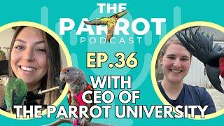 The Aviator Bird Harness  | The Parrot Podcast #36 @theaviatorbirdharness6411