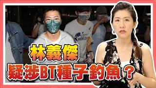 林義傑遭搜索，被查水表？或涉包攬訴訟？【時事評判】