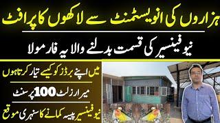 Love bird Farming in Lahore || Birds Farming in At Home || Lovebirds Farming in Pakistan 2024